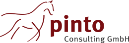 Pinto Consulting GmbH