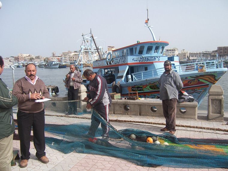 Μεταφορά δεξιοτήτων των μεταναστών στις ιχθυοκαλλιέργειες και στην αλιεία: Η περίπτωση της Ελλάδας και της Αιγύπτου (2009-2011)